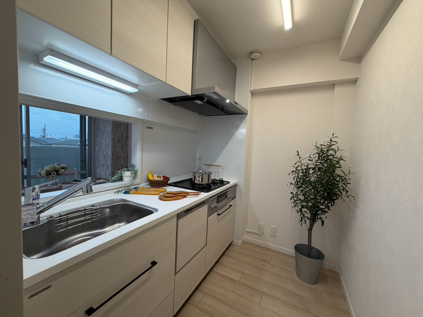2026.9/Cosmo tsutuse kitchen